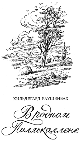 Обложка книги Хильдегард Раушенбах “Деревенские истории, произошедшие в Восточной Пруссии”.