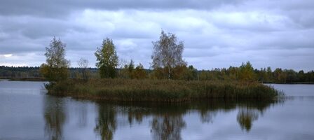 ЛОСИНЫЙ ОСТРОВ СОКРОВИЩ