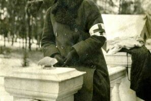 Стихотворения Нины Снесаревой-Козаковой